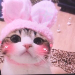 Meet your Posher, Terrell